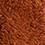 Teddy Butterscotch